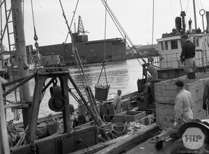 Workers Emptying Fishing Boats from a Boat in Gloucester Harbor, Massachusetts