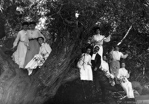 Family Photograph Group of Nine Men and Women Playfully Posing in the Branches of an Enormous Oak Tree