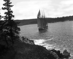 Rear View of Schooner Sailing Through Tree-Lined Islands in Gloucester, Massachusetts