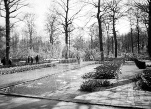 Parabolic Fountain Streamers and Garden Hedges Decorating a Charming Park in Holland, 1950s