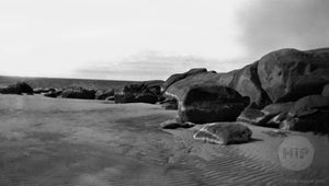 Cape Ann Rocks