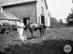 New England Woman in Belted White Gown Posing with Beautiful Horse on Summer Lawn