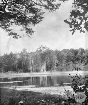Pastoral Scene Lake Surrounded by Foliage in the Gloucester Area of Massachusetts