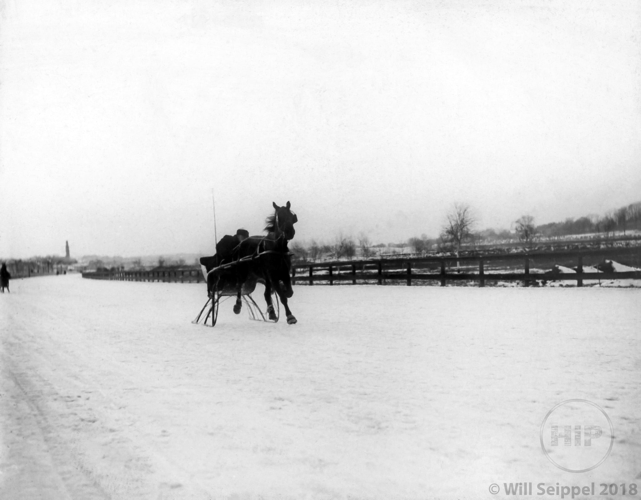 Sleigh Horse Briskly Trotting Along a Snowy Road in Winter c. 1923 ...