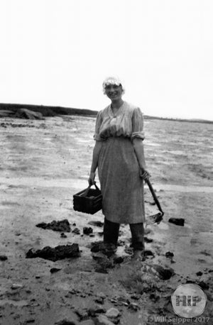 1912 Mary Gid clamming in Cape Porpoise.