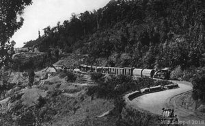 Darjeeling Train near Ghoon