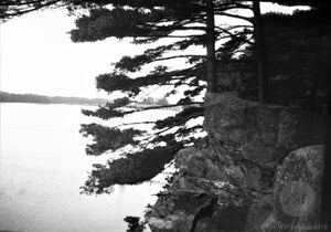 Cliff and Trees above Lake New England