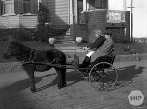 Snapshot of a pony-drawn cart, taken by Alice Curtis of Gloucester, MA.