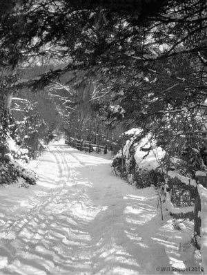 Deep Snow Covered Road Going Through Dense Woods Near Princeton NJ 1930's