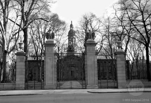 FitzRandoplh Front Undergraduate Gates to Princeton University in front of Nassau Hall