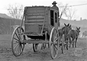 Overland Circus or Wild West Stagecoach Drawn by Four Mules