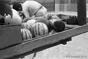 Street Orphan Sleeping with Watermelon
