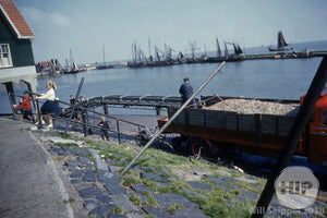 Harbor Loading Dock