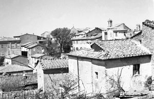 Houses Clustered Together Around a Single Tree in an Unknown Italian Neighborhood, 1940s