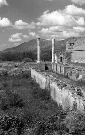 A snapshot of ruins in the Italian countryside during WWII.